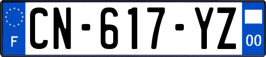 CN-617-YZ
