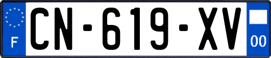 CN-619-XV