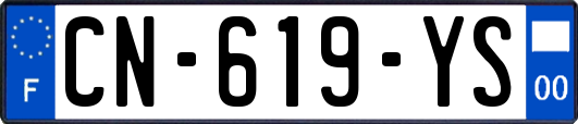 CN-619-YS