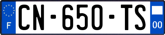 CN-650-TS