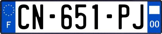CN-651-PJ