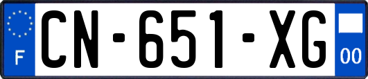 CN-651-XG