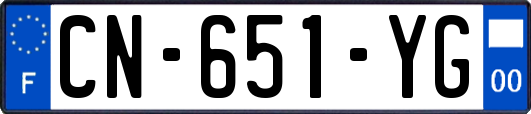 CN-651-YG