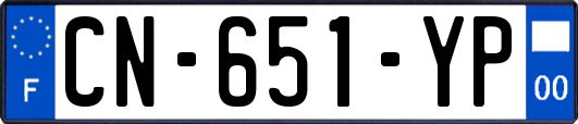 CN-651-YP