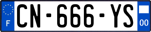 CN-666-YS