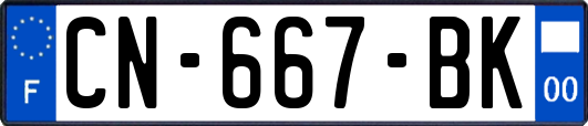 CN-667-BK