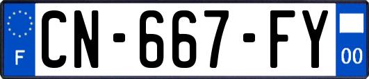 CN-667-FY