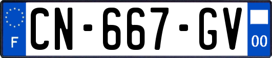 CN-667-GV