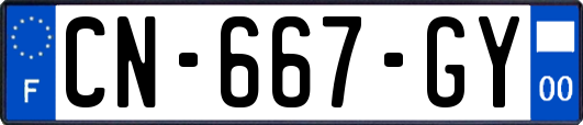 CN-667-GY