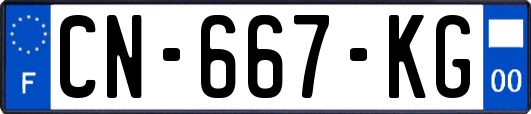 CN-667-KG