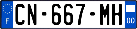 CN-667-MH