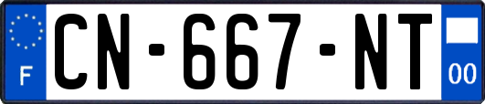 CN-667-NT