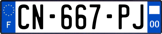 CN-667-PJ