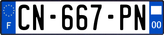CN-667-PN