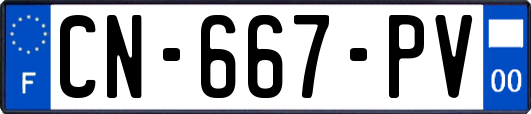 CN-667-PV