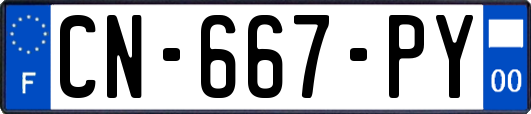 CN-667-PY
