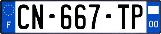 CN-667-TP