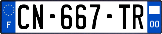 CN-667-TR