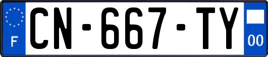 CN-667-TY