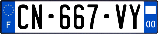CN-667-VY