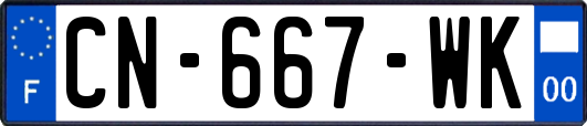 CN-667-WK