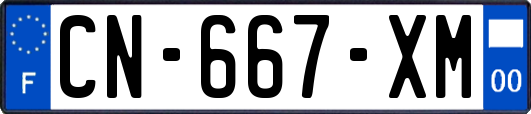 CN-667-XM