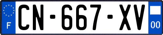 CN-667-XV