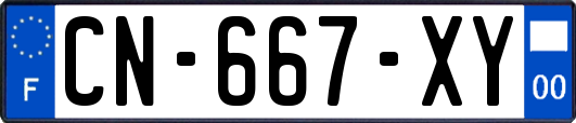 CN-667-XY