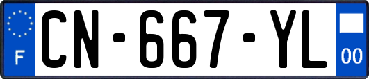 CN-667-YL