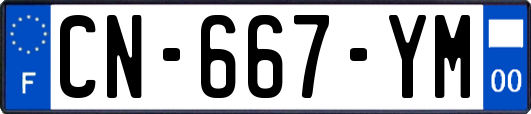 CN-667-YM