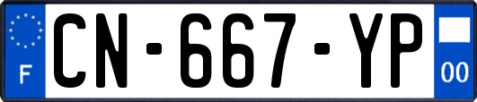 CN-667-YP