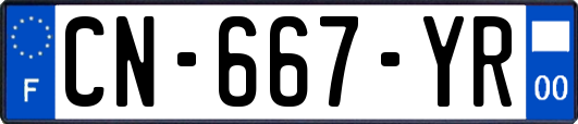 CN-667-YR