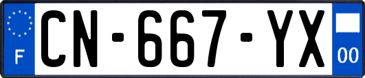 CN-667-YX