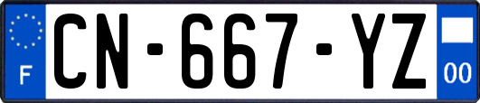 CN-667-YZ