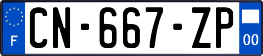 CN-667-ZP