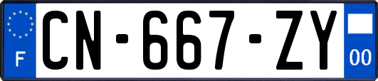 CN-667-ZY