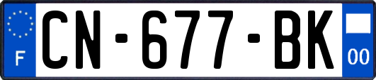 CN-677-BK