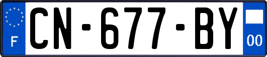 CN-677-BY