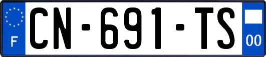 CN-691-TS