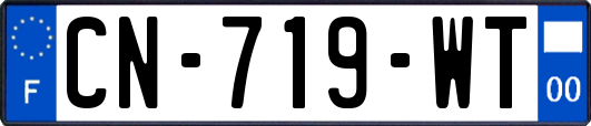 CN-719-WT
