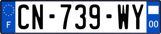 CN-739-WY