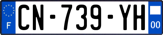 CN-739-YH