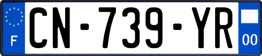 CN-739-YR