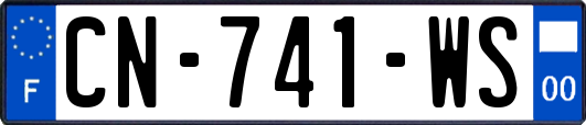 CN-741-WS