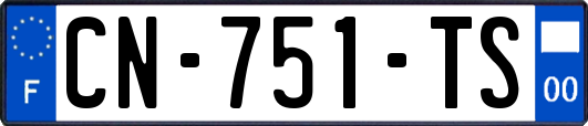 CN-751-TS