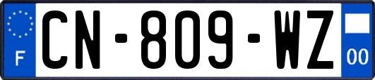 CN-809-WZ