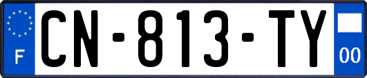 CN-813-TY