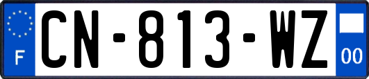 CN-813-WZ