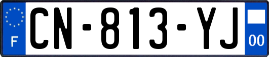 CN-813-YJ