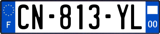 CN-813-YL